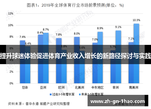 提升球迷体验促进体育产业收入增长的新路径探讨与实践 提升球迷体验促进体育产业收入增长的新路径探讨与实践