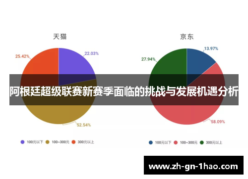 阿根廷超级联赛新赛季面临的挑战与发展机遇分析